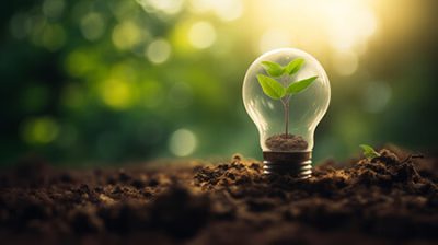 plante verte poussant à l'intérieur d'une ampoule sur un sol, avec un arrière-plan flou et lumineux.
